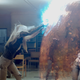 Oh blast! The New Mutants will be at Comic-Con.